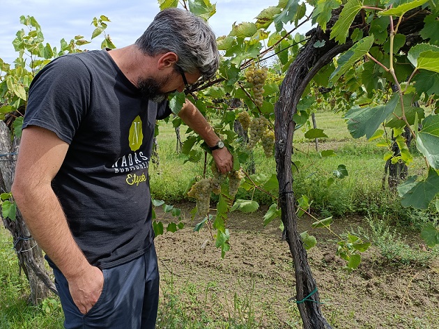 Nadas - Szilard in vyd